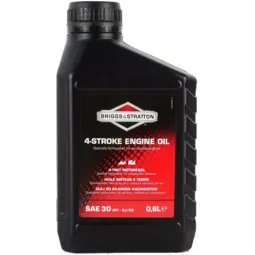 BRIGGS & STRATTON 4T  600 ml 1.0 KS